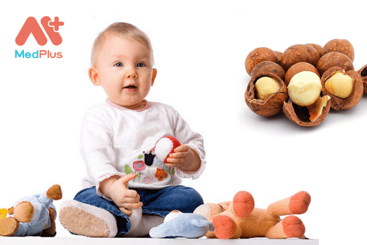 Lợi ích của hạt macadamia cho trẻ