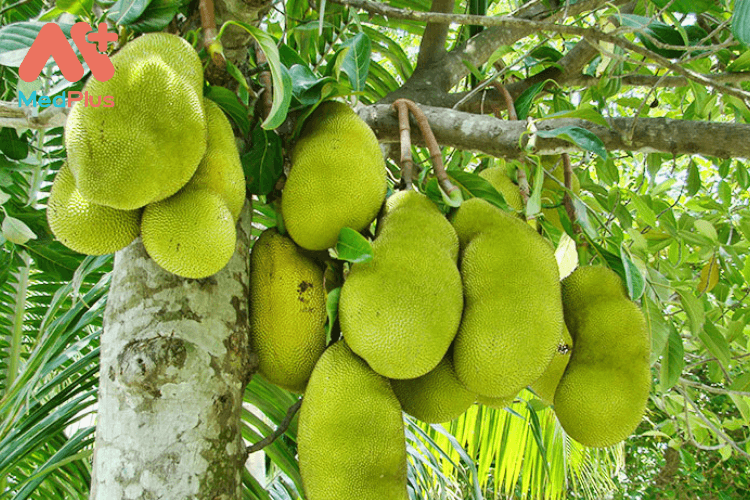 Lợi ích của mít cho bé