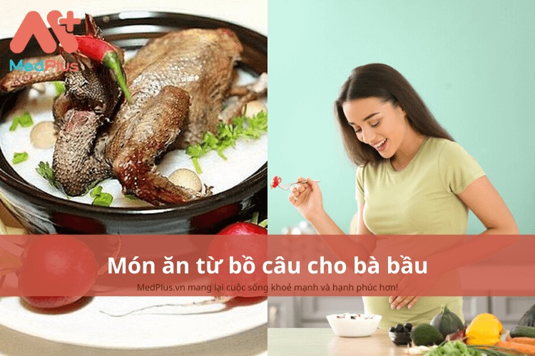 món ngon từ thịt chim bồ câu cho phụ nữ mang thai