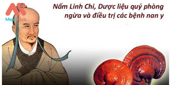 Nấm Linh Chi