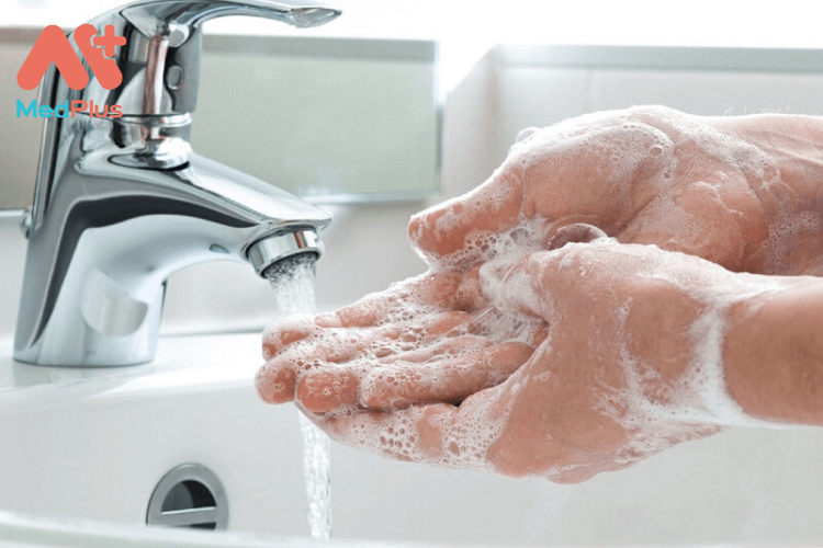 bệnh giun sán chó mèo