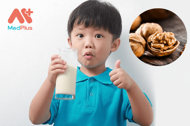 Tác dụng của sữa óc chó cho trẻ