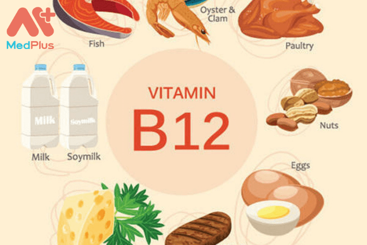 Vai trò của vitamin B12 đối với bà bầu