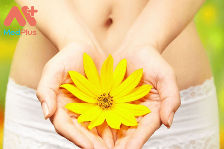 Viêm âm đạo do nấm - Bệnh hầu như chị em nào cũng mắc phải! 127 viêm âm đạo do nấm là bệnh gì