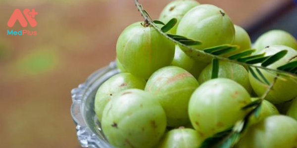 Me Rừng – TOP 6+ bài thuốc công hiệu trị “Bách” bệnh