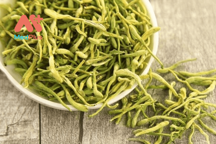 Kim Ngân Hoa – Loài hoa với các công dụng quý nổi tiêng trong Đông Y