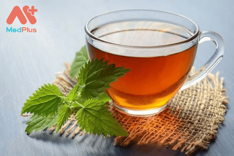 Tầm ma gốc lạ cũng là một trong những loại trà có nhiều dưỡng chất tốt cho cơ thể.