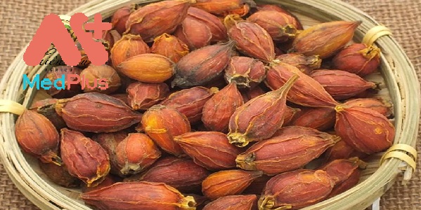 chi-tu-duoc-lieu-voi-cong-dung-bai-thuoc-tuyet-voi.