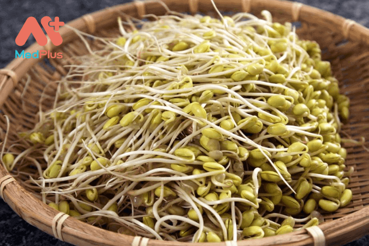 Giá trị dinh dưỡng của giá đỗ