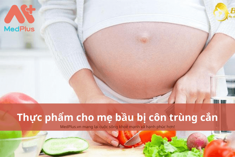 Mẹ bầu bị côn trùng cắn nên ăn gì để vết thương giảm sưng viêm?