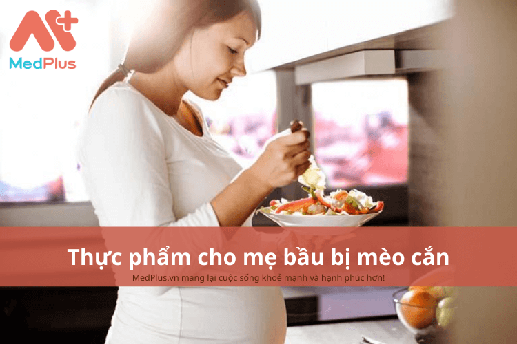 Mẹ bầu bị mèo cắn nên ăn gì để ngăn ngừa các viêm loét vết thương?