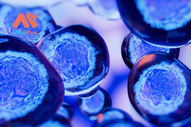 Lưu trữ máu cuống rốn