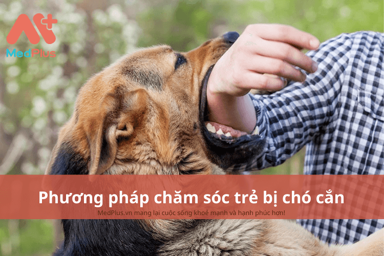 Phương pháp chăm sóc trẻ bị chó cắn an toàn và hiệu quả