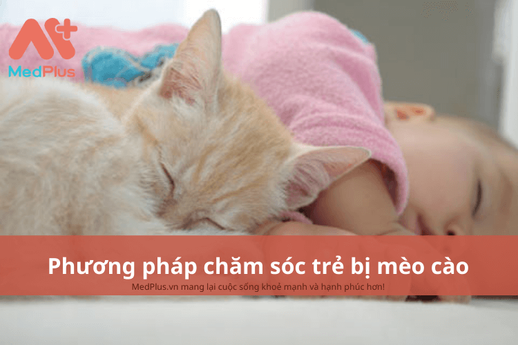 Phương pháp chăm sóc trẻ bị mèo cào an toàn và hiệu quả