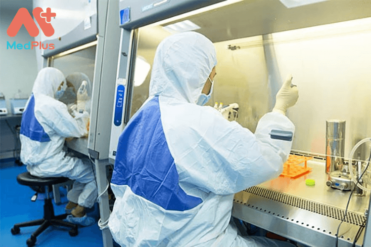 Quy trình lưu trữ tế bào gốc cuống rốn tại BV Phụ sản Trung ương