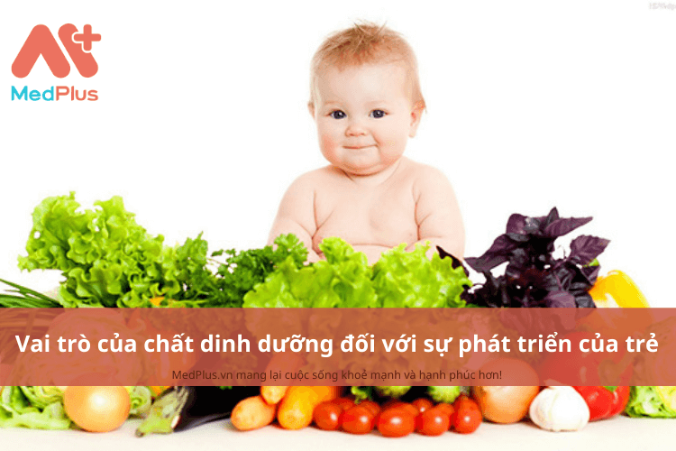 Vai trò của chất dinh dưỡng đối với sự phát triển toàn diện của trẻ 2 Vai trò của chất dinh dưỡng đối với sự phát triển toàn diện của trẻ