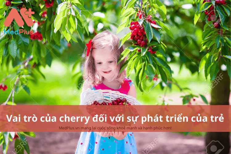Vai trò của cherry đối với sự phát triển toàn diện của trẻ