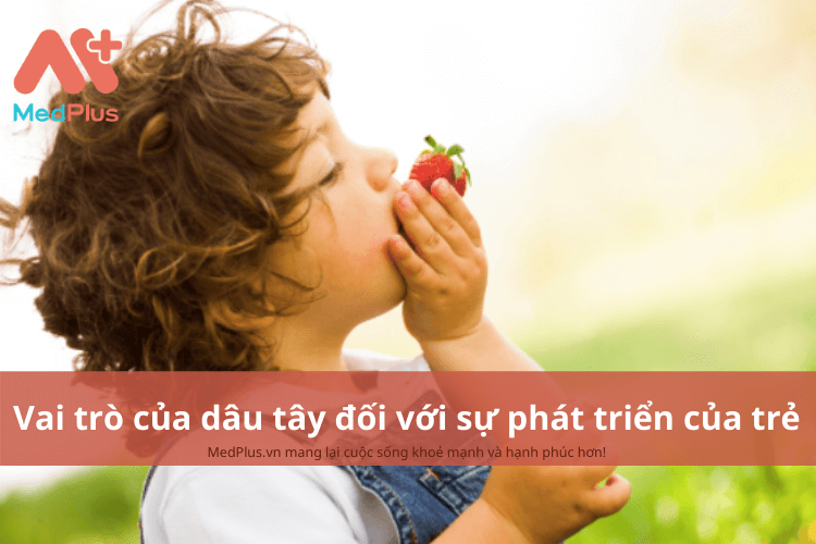 Vai trò của dâu tây đối với sự phát triển toàn diện của trẻ