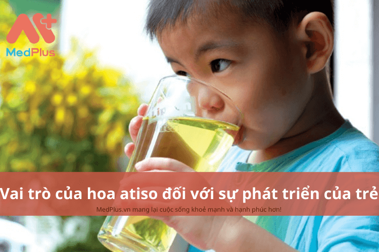 Vai trò của hoa atiso đối với sự phát triển toàn diện của trẻ