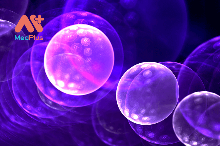 Liệu pháp tế bào gốc trị bệnh gan