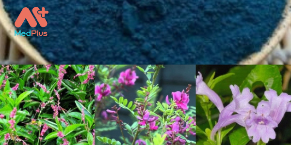 16 thanh dai2 - Medplus