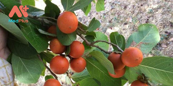 4.ma tien3 - Medplus