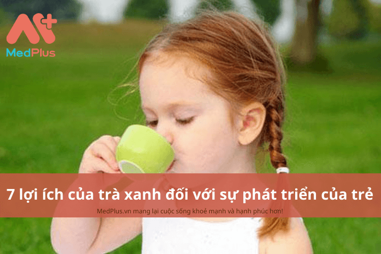 7 lợi ích của trà xanh đối với sự phát triển toàn diện của trẻ