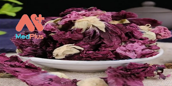 cay-phu-dung-than-duọc-chuyen-trị-bỏng-va-mụn-nhọt