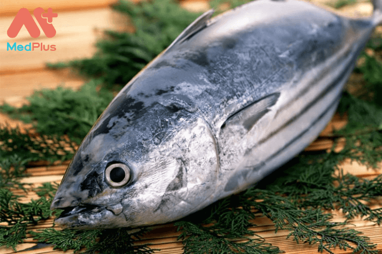 Người bị thương hàn nên ăn gì: Cá ngừ