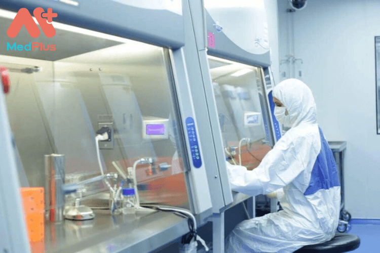 Quy trình lưu trữ tế bào gốc ở BV Phụ sản TW