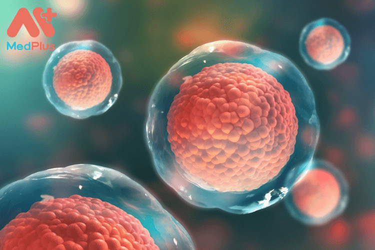 Tế bào gốc và lợi ích khi lưu trữ tế bào gốc