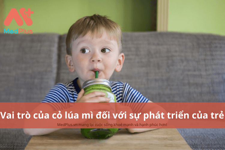 Vai trò của cỏ lúa mì đối với sự phát triển toàn diện của trẻ