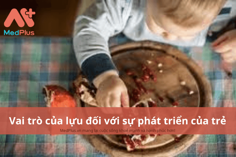 Vai trò của lựu đối với sự phát triển toàn diện của trẻ