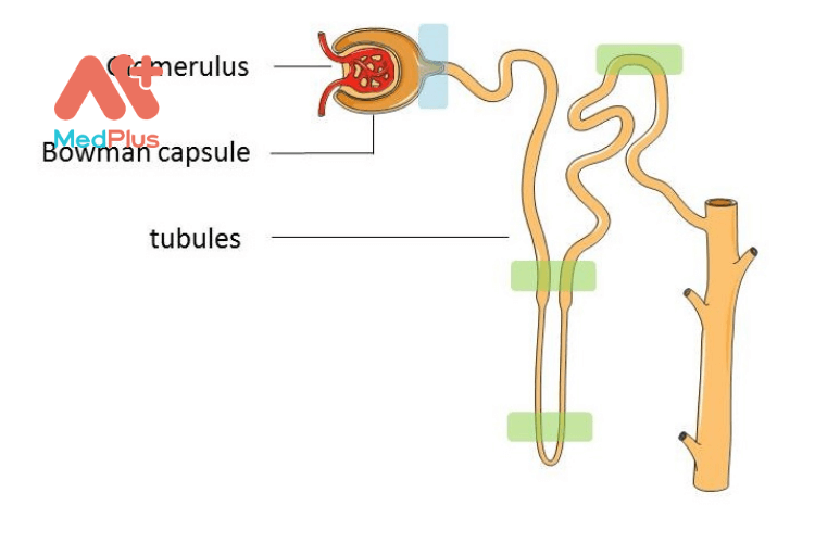 zxcvb12 1 - Medplus