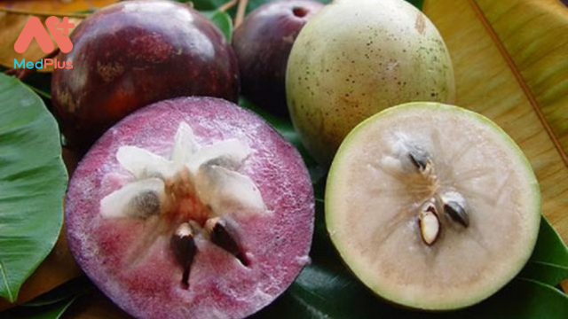 Cây ăn quả Vú Sữa và những công dụng y học đầy bất ngờ 137 Cây ăn quả Vú Sữa và những công dụng y học đầy bất ngờ