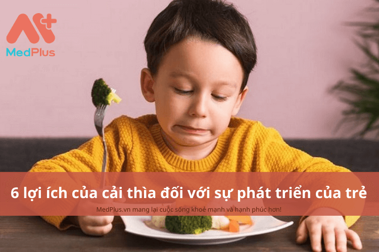 6 lợi ích của cải thìa đối với sự phát triển của trẻ mẹ cần biết