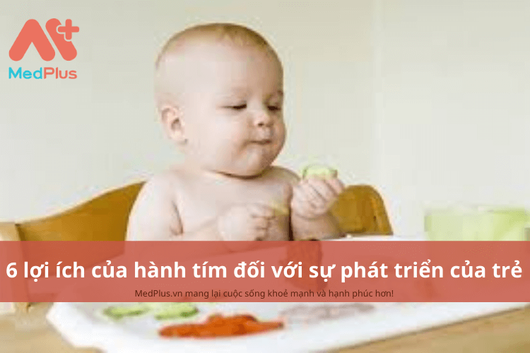 6 lợi ích của hành tím đối với sự phát triển của trẻ mẹ cần biết 133 6 lợi ích của hành tím đối với sự phát triển của trẻ mẹ cần biết