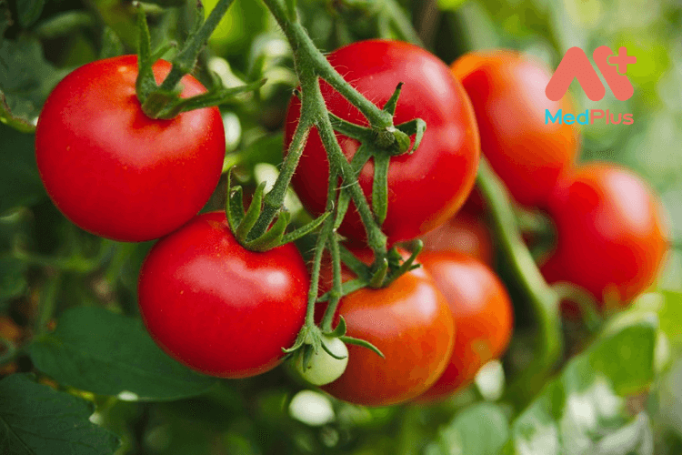 cà chua giúp cải thiện tuần hoàn và lưu thông máu