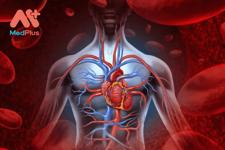 Thanh lọc máu là gì? 8 Lý do vì sao cần phải thanh lọc máu