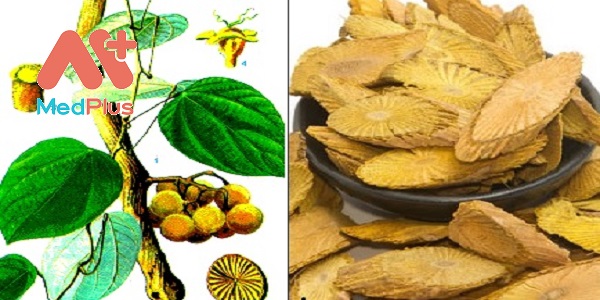 vang-dang-than-duoc-chuyen-tri-benh-hieu-qua