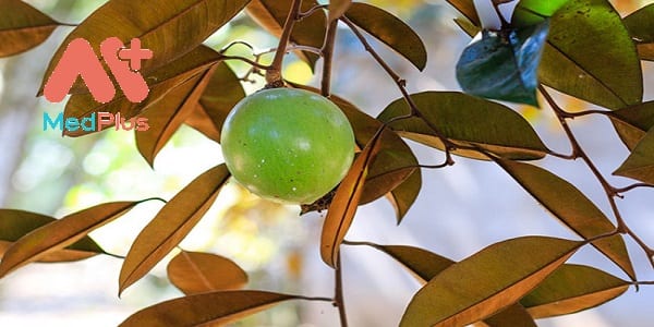 la-vu-sua-than-ky-voi-bai-thuoc-chua-dau-da-day