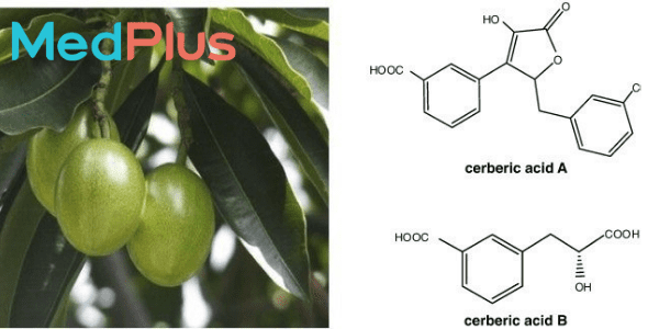 muop sat 4 - Medplus