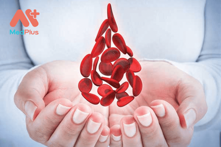 Tế bào gốc tạo máu (HSCT) là gì