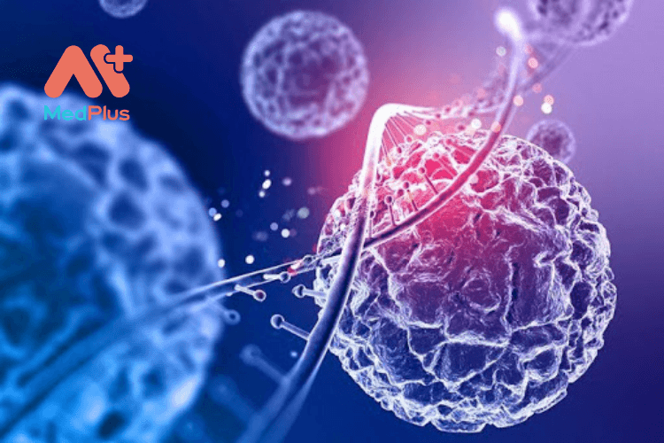 tế bào gốc giúp ngăn ngừa ung thư