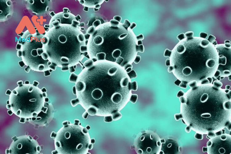 Hình ảnh virus Corona