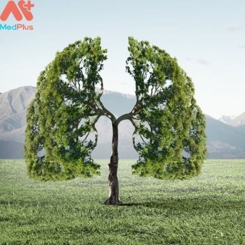 Chất lượng không khí là yếu tố quan trọng của sức khỏe môi trường (Hình ảnh minh họa)