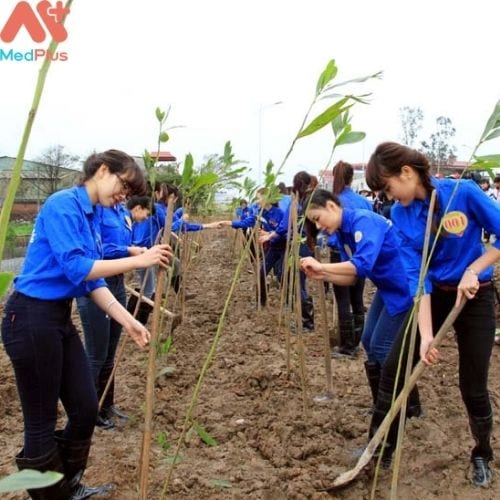 5 lĩnh vực của sức khỏe môi trường - tác động đến con người 134 Cộng đồng chung tay cải thiện sức khỏe môi trường bằng việc trồng cây xanh (Hình ảnh minh họa)