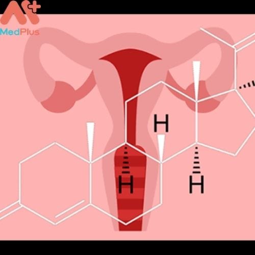 Giả thuyết cho rằng nồng độ progesterone thấp ảnh hưởng tới việc bị sảy thai (Hình ảnh minh họa)