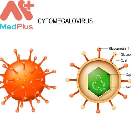Nhiễm trùng Cytomegalovirus