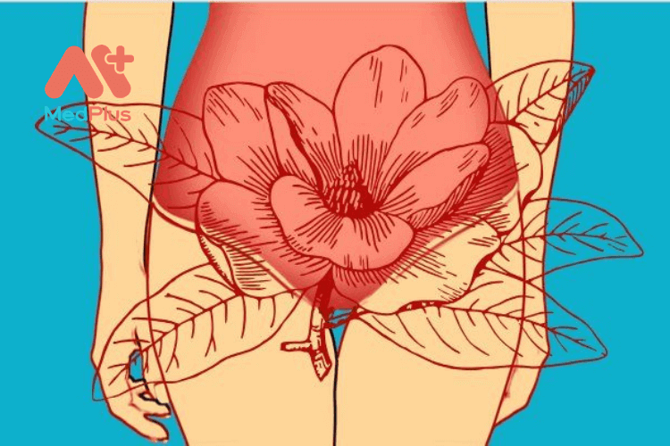 Top 5+ Dung dịch vệ sinh làm hồng và se khít vùng kín 143 Dung dịch vệ sinh làm hồng và se khít vùng kín